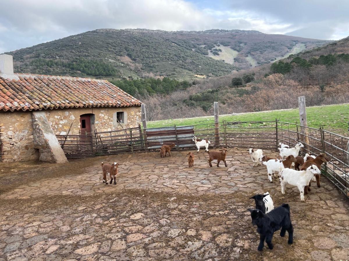 Casa Rural Las Lanchas Hontanar المظهر الخارجي الصورة